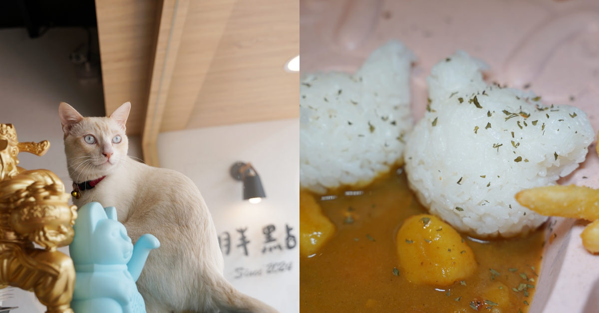 [食記] 龍潭貓咪親子餐廳 胖點寵物親子友善餐廳