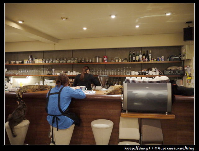 台北。師大。貓咪咖啡店。極簡咖啡館