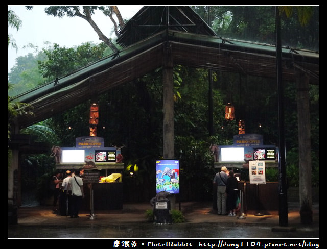 新加坡。夜間動物園