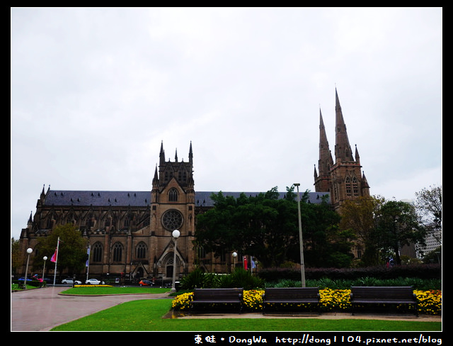 雪梨遊記。海德公園。聖瑪莉大教堂
