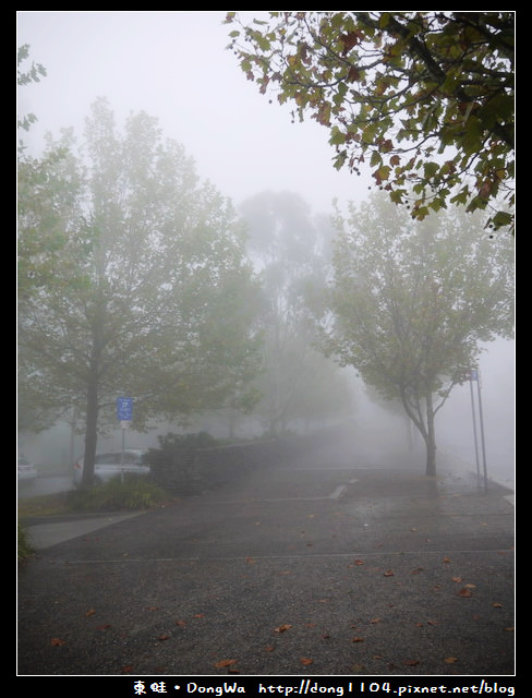 【雪梨遊記】藍山土著文化中心。藍山國家公園