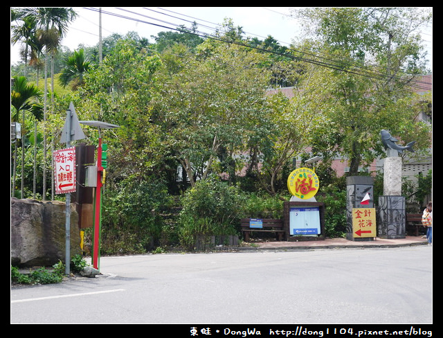 【南投遊記】魚池鄉。頭社活盆地休閒農業區。金針花海