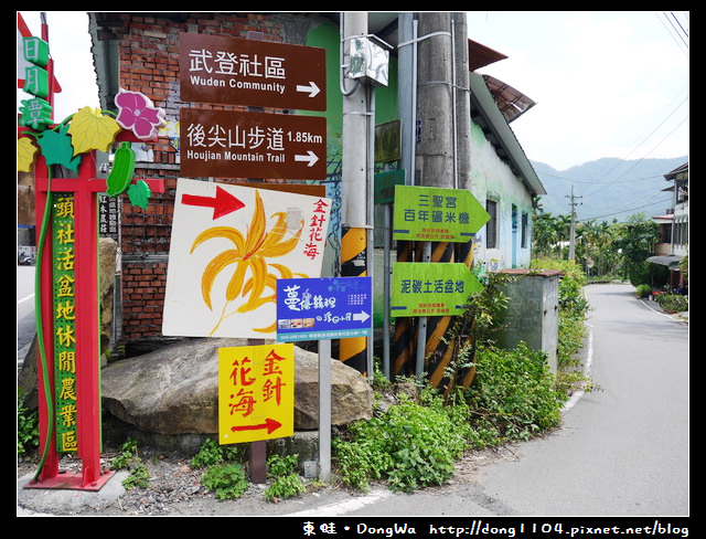 【南投遊記】魚池鄉。頭社活盆地休閒農業區。金針花海