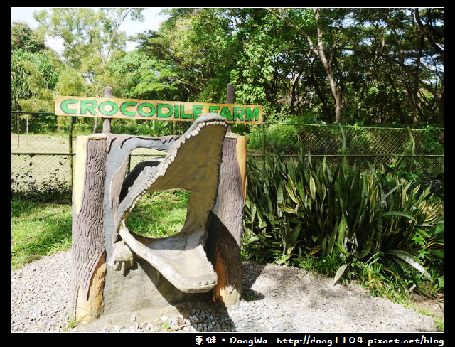 【巴拉望遊記】鱷魚農場。Palawan Wildlife Rescue and Conservation Center