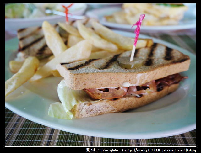 【巴拉望遊記】一島一飯店。Dos Palmas。雙人獨木舟。出海浮潛