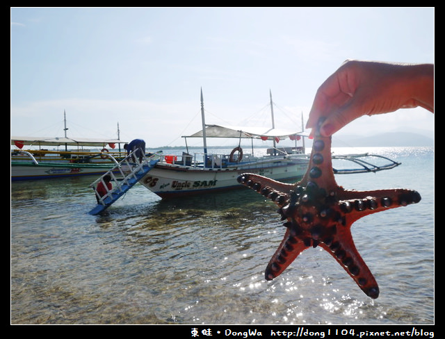 【巴拉望遊記】Honda Bay 本田灣。Starfish Island 海星島