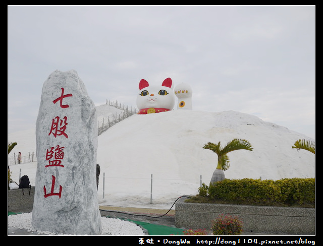 【台南遊記】七股鹽山觀光園區。超大隻招財貓