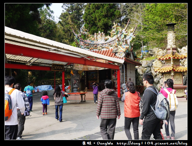 【嘉義遊記】奮起湖大飯店。免費導覽行程。台灣杉森林步道生態導覽