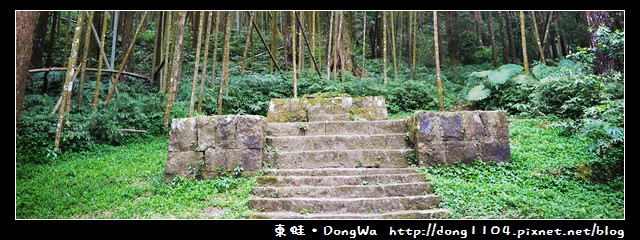 【嘉義遊記】奮起湖。奮起步道。神社遺址。鹿鼎巨木