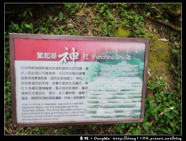 【嘉義遊記】奮起湖。奮起步道。神社遺址。鹿鼎巨木