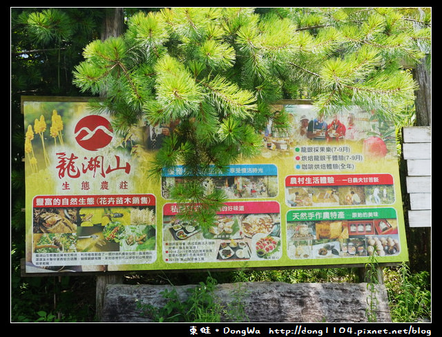 【台南食記】吃遍西拉雅。龍湖山生態農莊。特色咖啡餐點