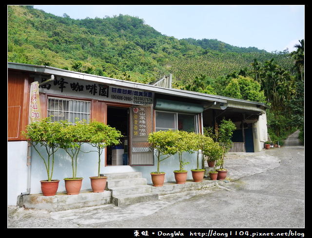 【台南食記】吃遍西拉雅。東山高峰咖啡。天池森林步道