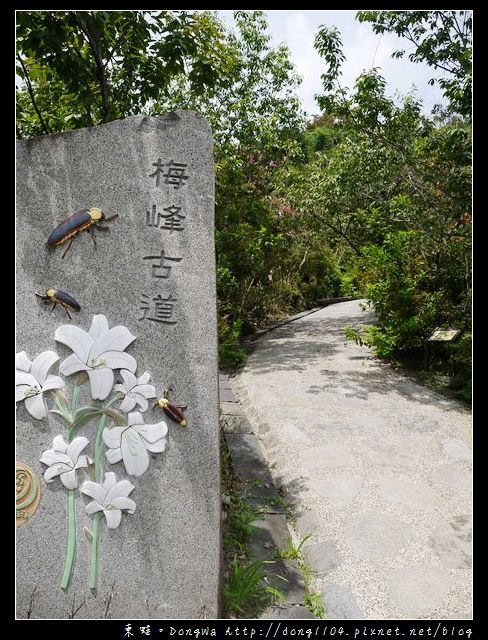 【台南遊記】玩瘋西拉雅。梅峰登山古道