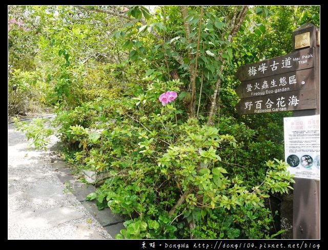 【台南遊記】玩瘋西拉雅。梅峰登山古道