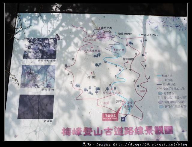 【台南遊記】玩瘋西拉雅。梅峰登山古道