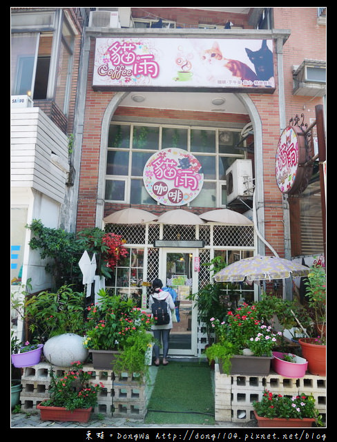 【新北食記】淡水老街。貓雨貓狗主題咖啡館。開放式貓咪空間
