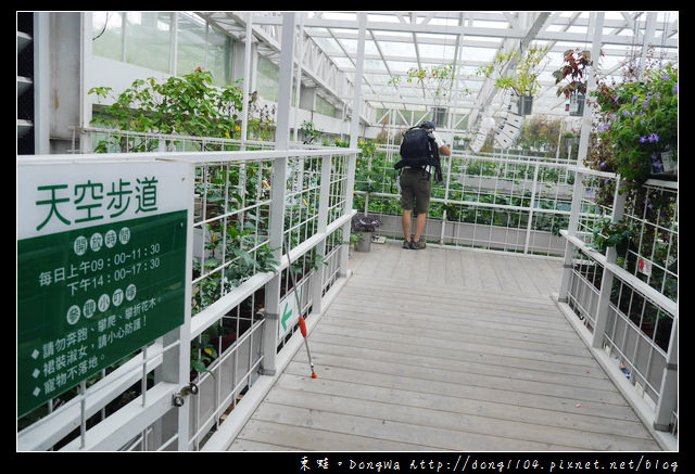 【宜蘭遊記】員山鄉景點。香草菲菲。天空步道太陽湖