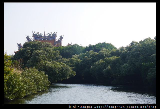 【台南遊記】四草綠色隧道。台灣袖珍版的亞馬遜河