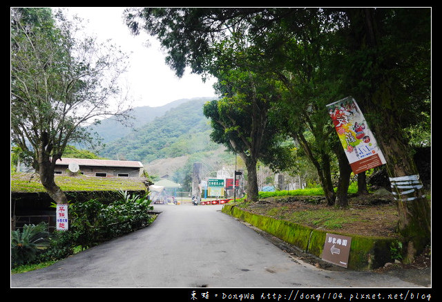 【南投遊記】仁愛鄉賞梅。互助國小。彭家梅園