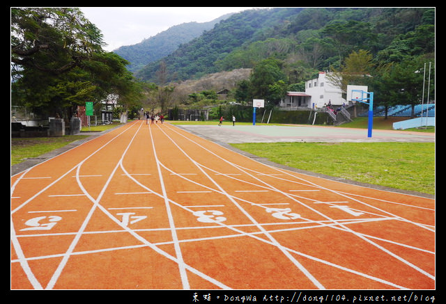 【南投遊記】仁愛鄉賞梅。互助國小。彭家梅園