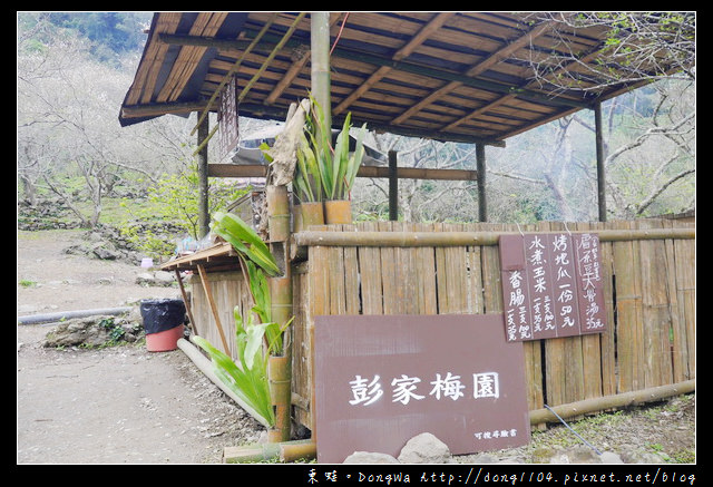 【南投遊記】仁愛鄉賞梅。互助國小。彭家梅園