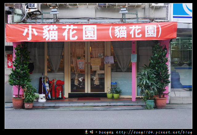 【台北食記】貓咪咖啡館|超多貓咪陪喝下午茶|芝山捷運站旁|小貓花園