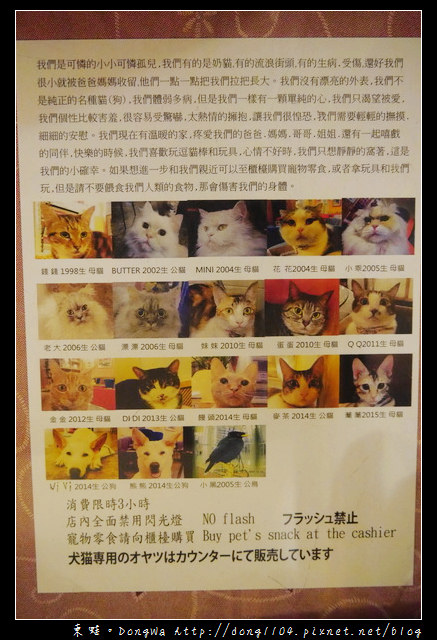 【台北食記】貓咪咖啡館|超多貓咪陪喝下午茶|芝山捷運站旁|小貓花園