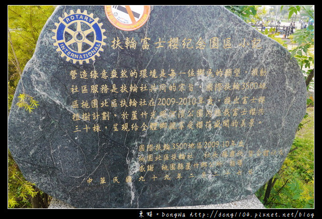 【桃園遊記】蘆竹南崁賞櫻好去處|光明河濱公園|富士櫻紀念園區