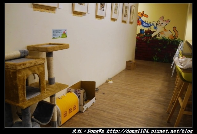 【桃園食記】三元街貓咪早餐店|寵物友善|DEMO HOUSE 早午餐