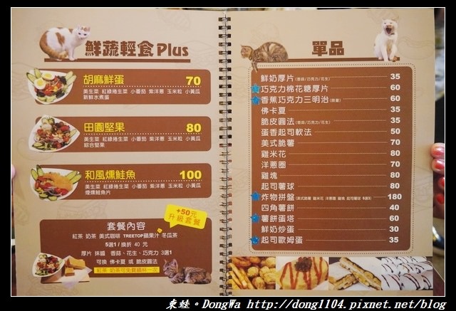 【桃園食記】三元街貓咪早餐店|寵物友善|DEMO HOUSE 早午餐