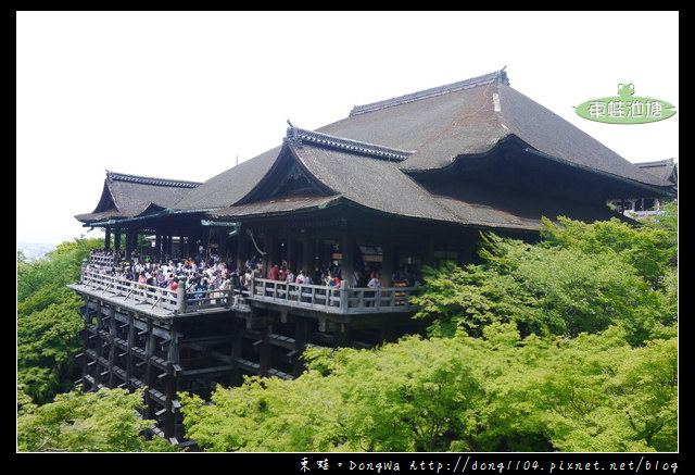 【大阪自助/自由行】京都音羽山清水寺|清水舞台夏景