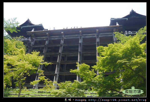 【大阪自助/自由行】京都音羽山清水寺|清水舞台夏景