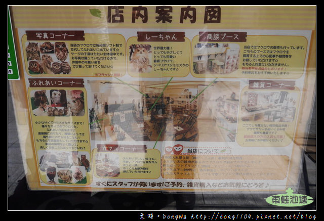 【大阪自助/自由行】天神橋筋咖啡館|貓頭鷹主題咖啡館|OWL Family 大阪店
