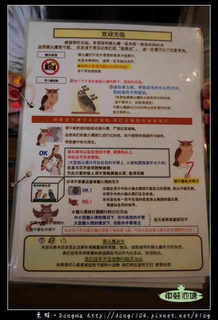 【大阪自助/自由行】天神橋筋咖啡館|貓頭鷹主題咖啡館|OWL Family 大阪店