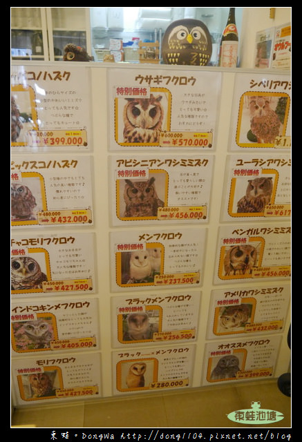 【大阪自助/自由行】天神橋筋咖啡館|貓頭鷹主題咖啡館|OWL Family 大阪店