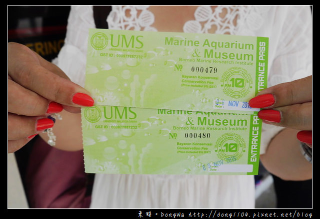 【沙巴自助/自由行】沙巴景點|沙巴大學 UMS|深海水族館（ Aquarium and Marine Museum ）