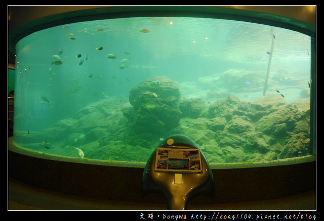 【沙巴自助/自由行】沙巴景點|沙巴大學 UMS|深海水族館（ Aquarium and Marine Museum ）