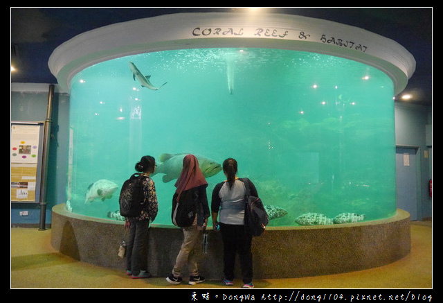 【沙巴自助/自由行】沙巴景點|沙巴大學 UMS|深海水族館（ Aquarium and Marine Museum ）