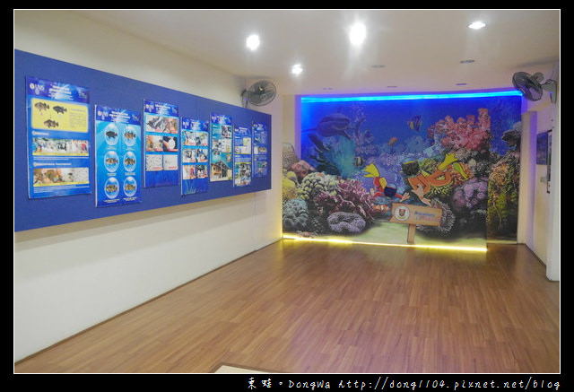 【沙巴自助/自由行】沙巴景點|沙巴大學 UMS|深海水族館（ Aquarium and Marine Museum ）