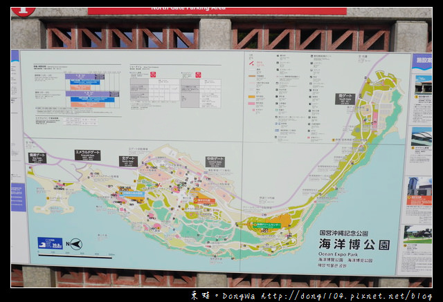 【沖繩自助/自由行】沖繩免費景點|無料沖兒海豚劇場|海洋博覽公園