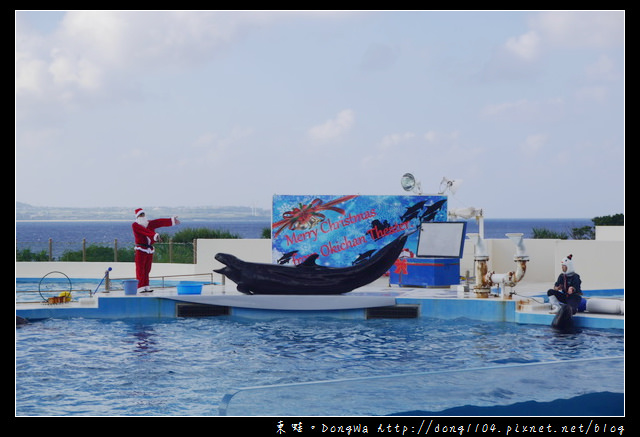 【沖繩自助/自由行】沖繩免費景點|無料沖兒海豚劇場|海洋博覽公園