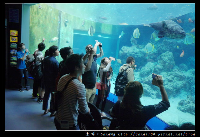 【沖繩自助/自由行】沖繩景點推薦|沖繩海洋博公園 美ら海水族館|KLOOK 客路網路購票更便宜