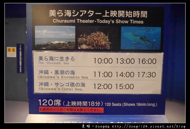 【沖繩自助/自由行】沖繩景點推薦|沖繩海洋博公園 美ら海水族館|KLOOK 客路網路購票更便宜