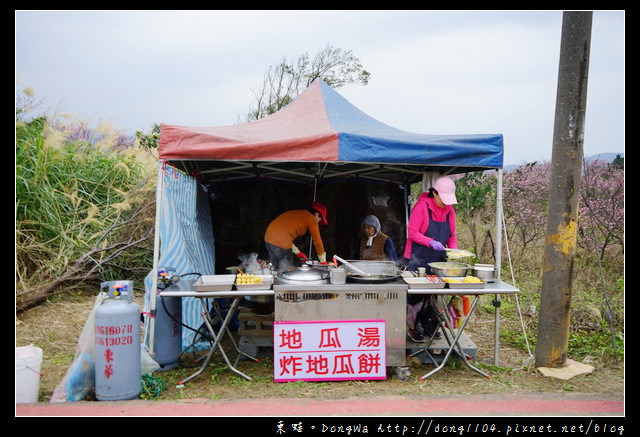 【台北遊記】2017.01.23 櫻花花況|陽明山平菁街42巷賞櫻去