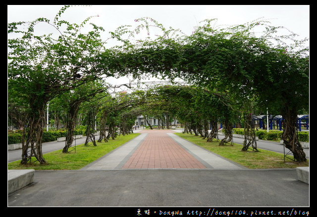 【台北遊記】台北免費景點|台北市第一座兒童參與設計遊戲場|瑠公圳自然濕地生態池|榮星花園