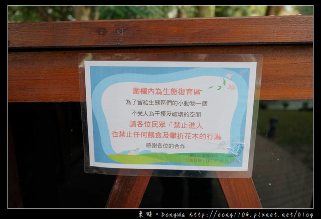 【台北遊記】台北免費景點|台北市第一座兒童參與設計遊戲場|瑠公圳自然濕地生態池|榮星花園