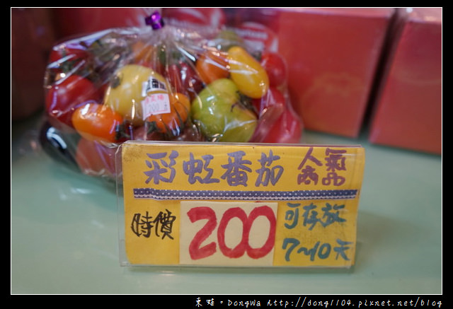 【新竹遊記】新竹免費景點|全國唯一蕃茄品種最多|金勇DIY蕃茄休閒農場