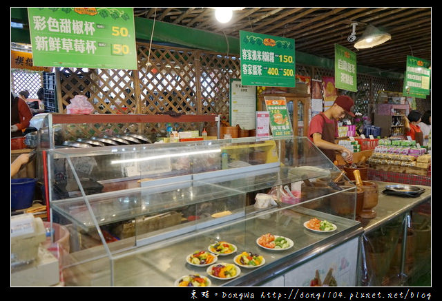 【新竹遊記】新竹免費景點|全國唯一蕃茄品種最多|金勇DIY蕃茄休閒農場
