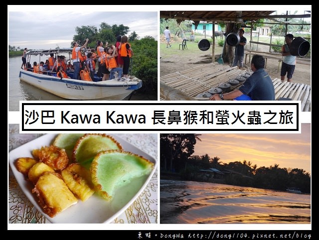 【沙巴自助/自由行】沙巴景點推薦|紅樹林雨林秘境| Kawa Kawa 探訪長鼻猴和螢火蟲之旅