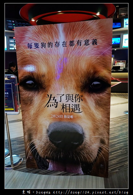 【電影心得】警告！！本片有滿滿的洋蔥！！【為了與你相遇】每隻毛小孩的存在都有意義